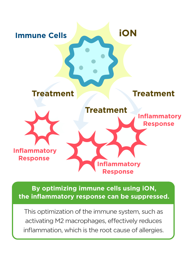 By optimizing immune cells using iON, the inflammatory response can be suppressed. This optimization of the immune system, such as activating M2 macrophages, effectively reduces inflammation, which is the root cause of allergies.